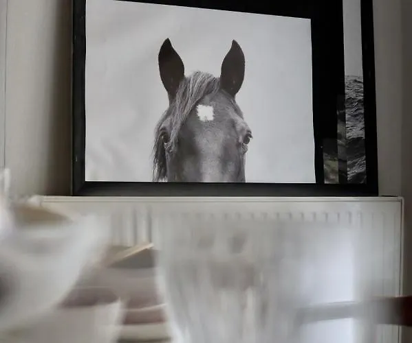 The Old Town Heritage House * ניקוסיה