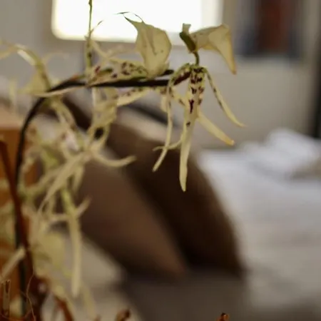 The Old Town Heritage House