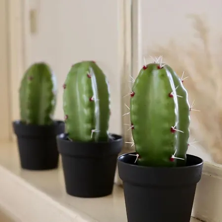 The Old Town Heritage House *