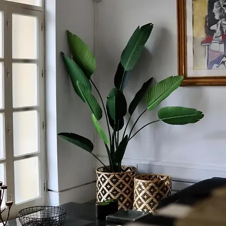 Casa vacanze The Old Town Heritage House