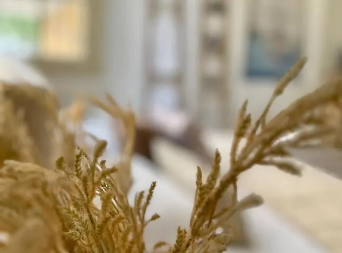 The Old Town Heritage House